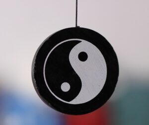 yani naturopath essential oil natural healing functional medicine (4)